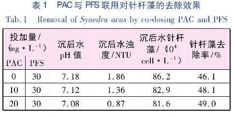 表1PAC與PFS聯(lián)用對(duì)針桿藻的去除效果